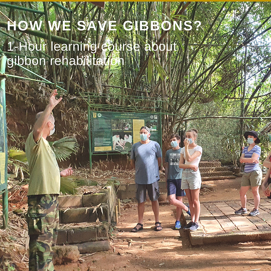 1-Hour Learning about Gibbon Rehabilitation